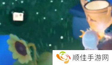 光遇运动会奖励兑换在什么位置 运动会奖励兑换位置一览